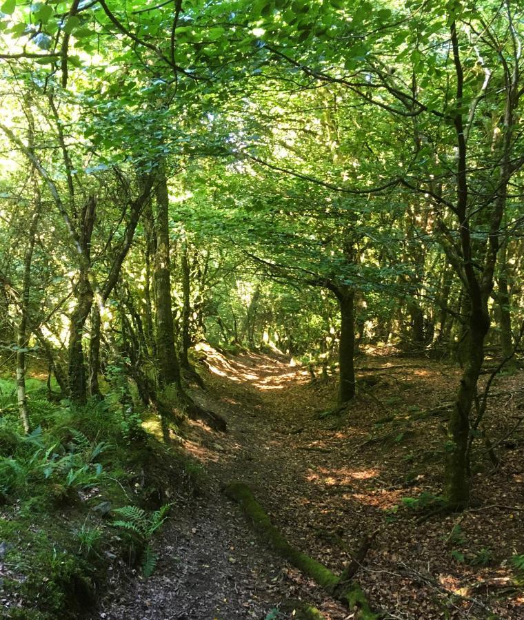 Отель Aldridge Mill Oakford Экстерьер фото