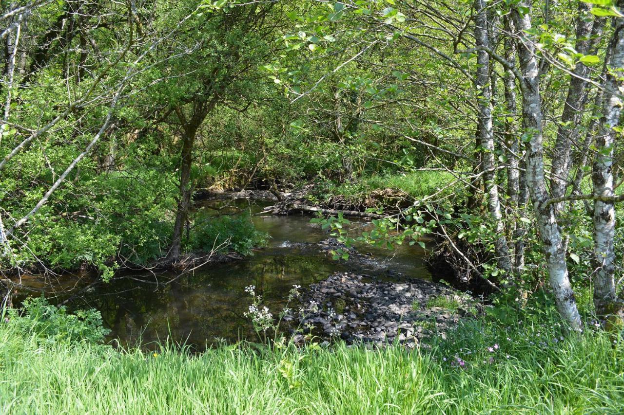 Отель Aldridge Mill Oakford Экстерьер фото